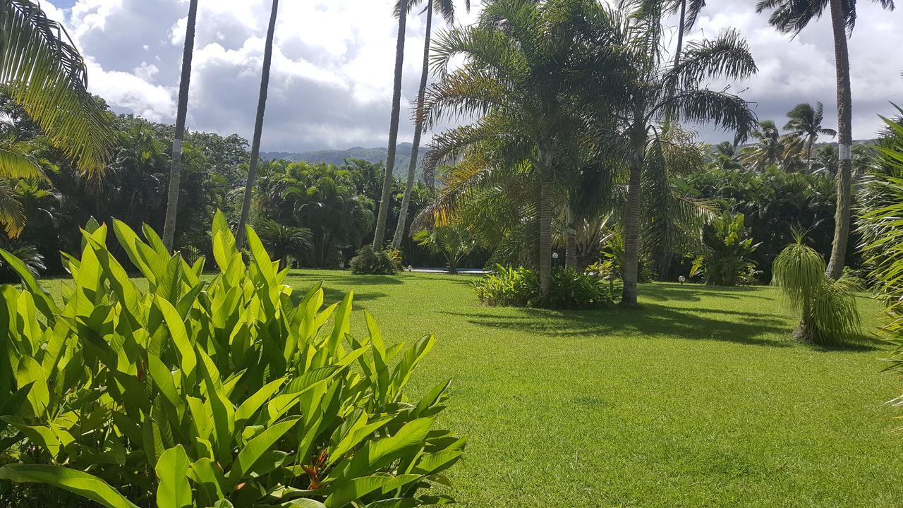 Villa Manaora Taravao المظهر الخارجي الصورة